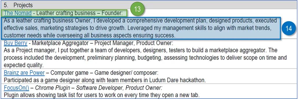 The Projects section: four entries with links and short descriptions, the leather crafting business one expanded into a full paragraph
