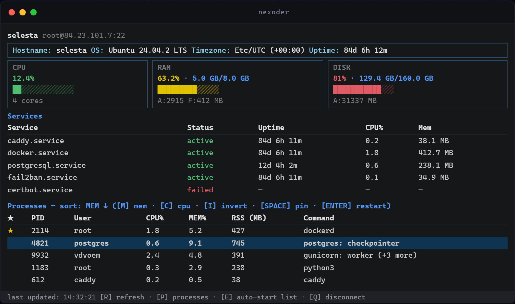 Nexoder terminal dashboard showing server health